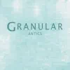 Granular - Antics